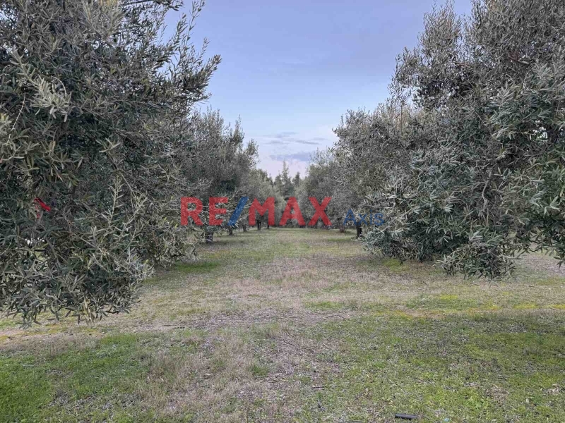 property-img