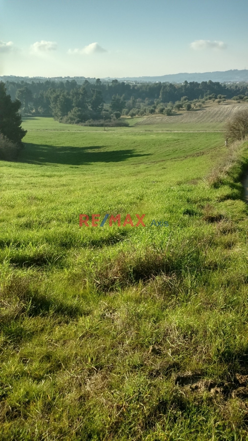 property-img